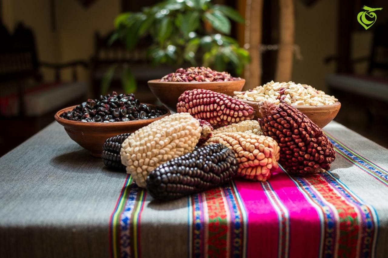 Sonqo Killa Del Colca Otel Chivay Dış mekan fotoğraf